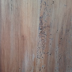 commode restauration